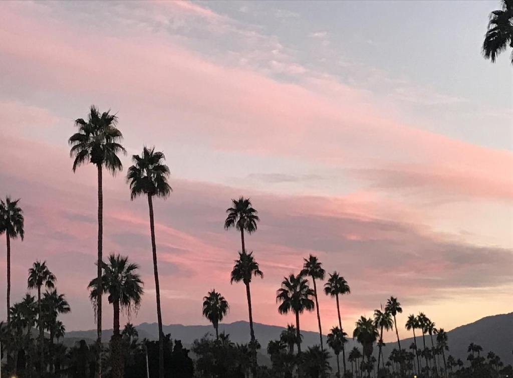 Best Views